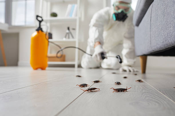 Commercial Kitchen Cockroach Control in Winona